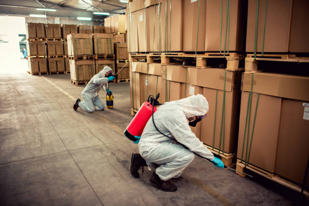 Best Pest Prevention Services  in Alpine, TX