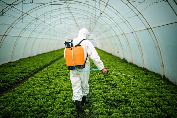 Best Residential Pest Control  in Alpine, TX