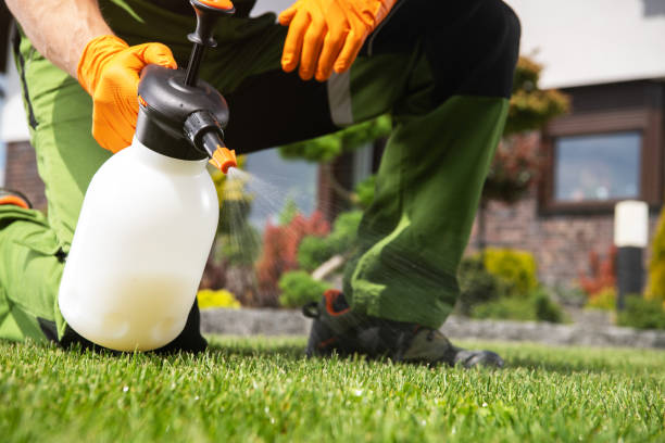 Best Insect Control  in Alpine, TX