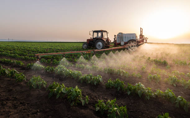 Reliable Alpine, TX Pest Control Solutions