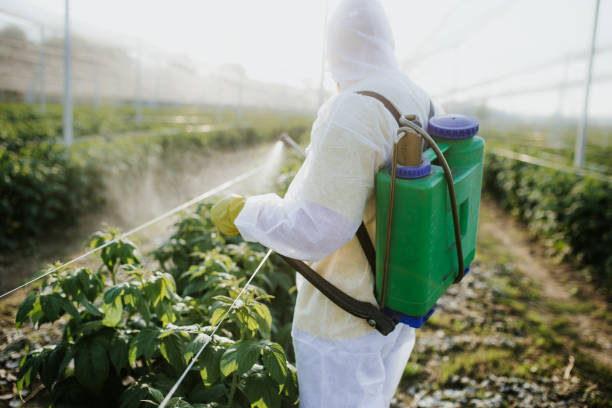 Best Exterminator Services  in Alpine, TX